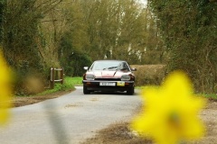 19_HRCR_Daffodil-810