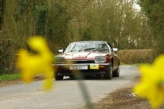 19_HRCR_Daffodil-813