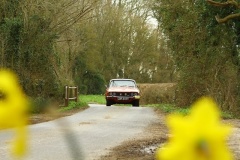 19_HRCR_Daffodil-816