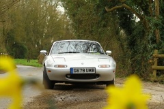 19_HRCR_Daffodil-824