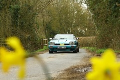 19_HRCR_Daffodil-826