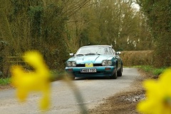 19_HRCR_Daffodil-827