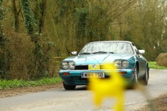 19_HRCR_Daffodil-828