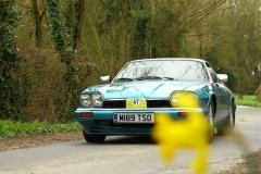 19_HRCR_Daffodil-829
