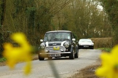 19_HRCR_Daffodil-833