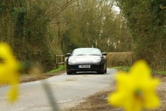 19_HRCR_Daffodil-834