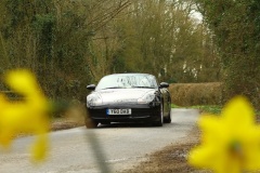 19_HRCR_Daffodil-836