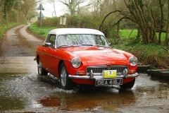 19_HRCR_Daffodil-863