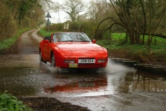 19_HRCR_Daffodil-883