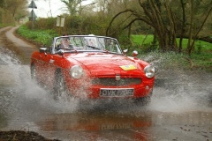 19_HRCR_Daffodil-893