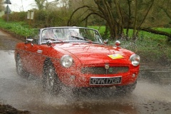 19_HRCR_Daffodil-894