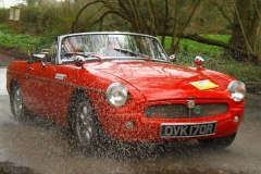 19_HRCR_Daffodil-895