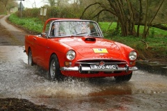 19_HRCR_Daffodil-899