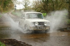19_HRCR_Daffodil-930