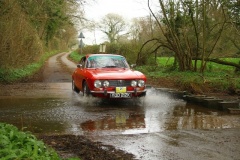 19_HRCR_Daffodil-933