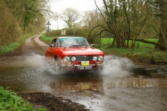 19_HRCR_Daffodil-934