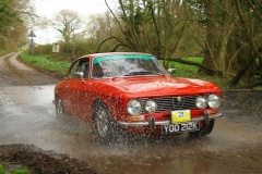19_HRCR_Daffodil-937