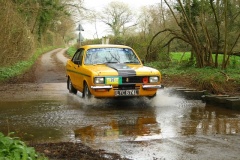 19_HRCR_Daffodil-938