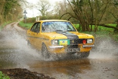 19_HRCR_Daffodil-940