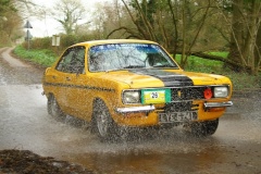 19_HRCR_Daffodil-941