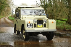 19_HRCR_Daffodil-945