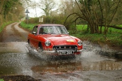 19_HRCR_Daffodil-946