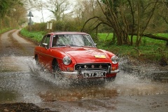 19_HRCR_Daffodil-947