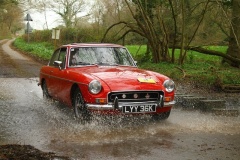 19_HRCR_Daffodil-948