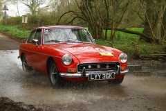 19_HRCR_Daffodil-949
