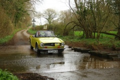 19_HRCR_Daffodil-950