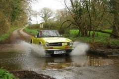 19_HRCR_Daffodil-951
