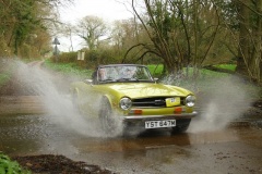19_HRCR_Daffodil-952