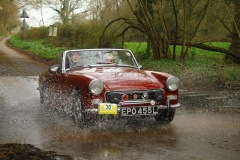 19_HRCR_Daffodil-962