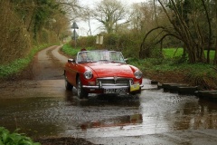 19_HRCR_Daffodil-963