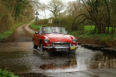 19_HRCR_Daffodil-964