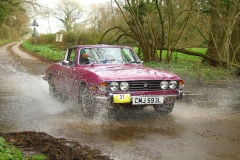 19_HRCR_Daffodil-968