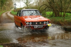 19_HRCR_Daffodil-970