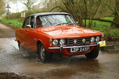 19_HRCR_Daffodil-972