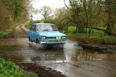 19_HRCR_Daffodil-973