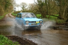 19_HRCR_Daffodil-974