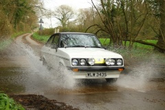 19_HRCR_Daffodil-982