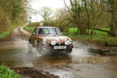 19_HRCR_Daffodil-985