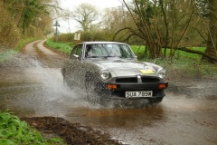 19_HRCR_Daffodil-990