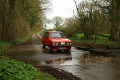 19_HRCR_Daffodil-991