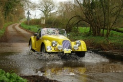 19_HRCR_Daffodil-994