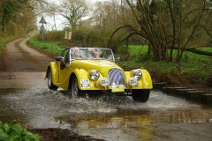 19_HRCR_Daffodil-995