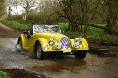 19_HRCR_Daffodil-996