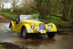 19_HRCR_Daffodil-997