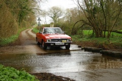 19_HRCR_Daffodil-998