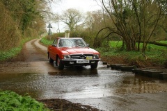 19_HRCR_Daffodil-999